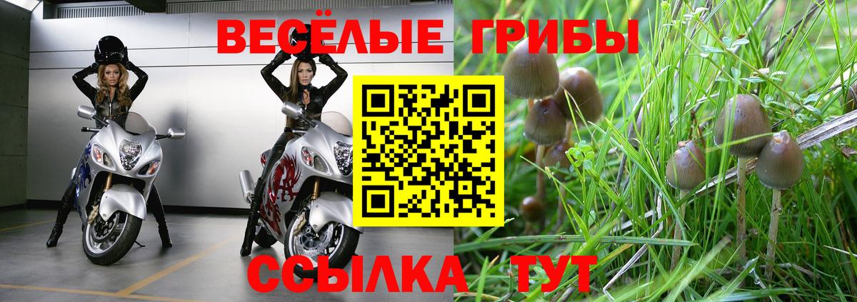 Галлюциногенные грибы прущие грибы Людиново